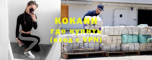 бошки Горняк