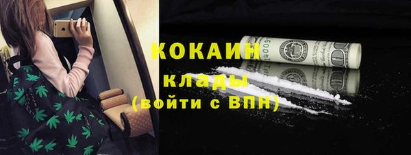 бошки Горняк