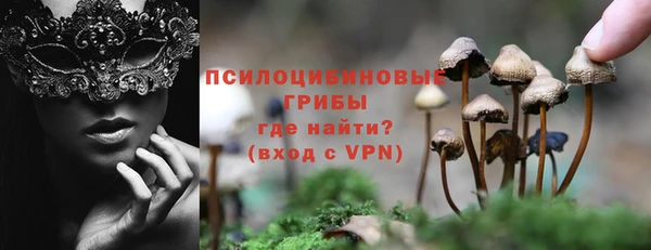 мдпв Горно-Алтайск