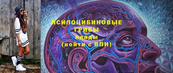 бошки Горняк
